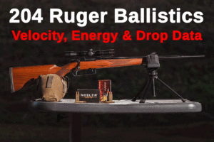 204 Ruger rifle and ammo on a shooting bench