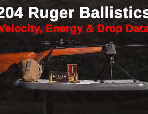 204 Ruger Ballistics