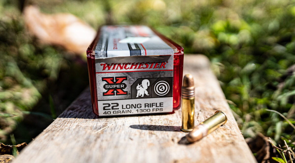 What Can You Hunt With A 22? | AmmoForSale.com
