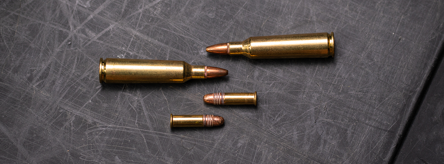 22LR VS 22-250 AMMO SIDE BY SIDE
