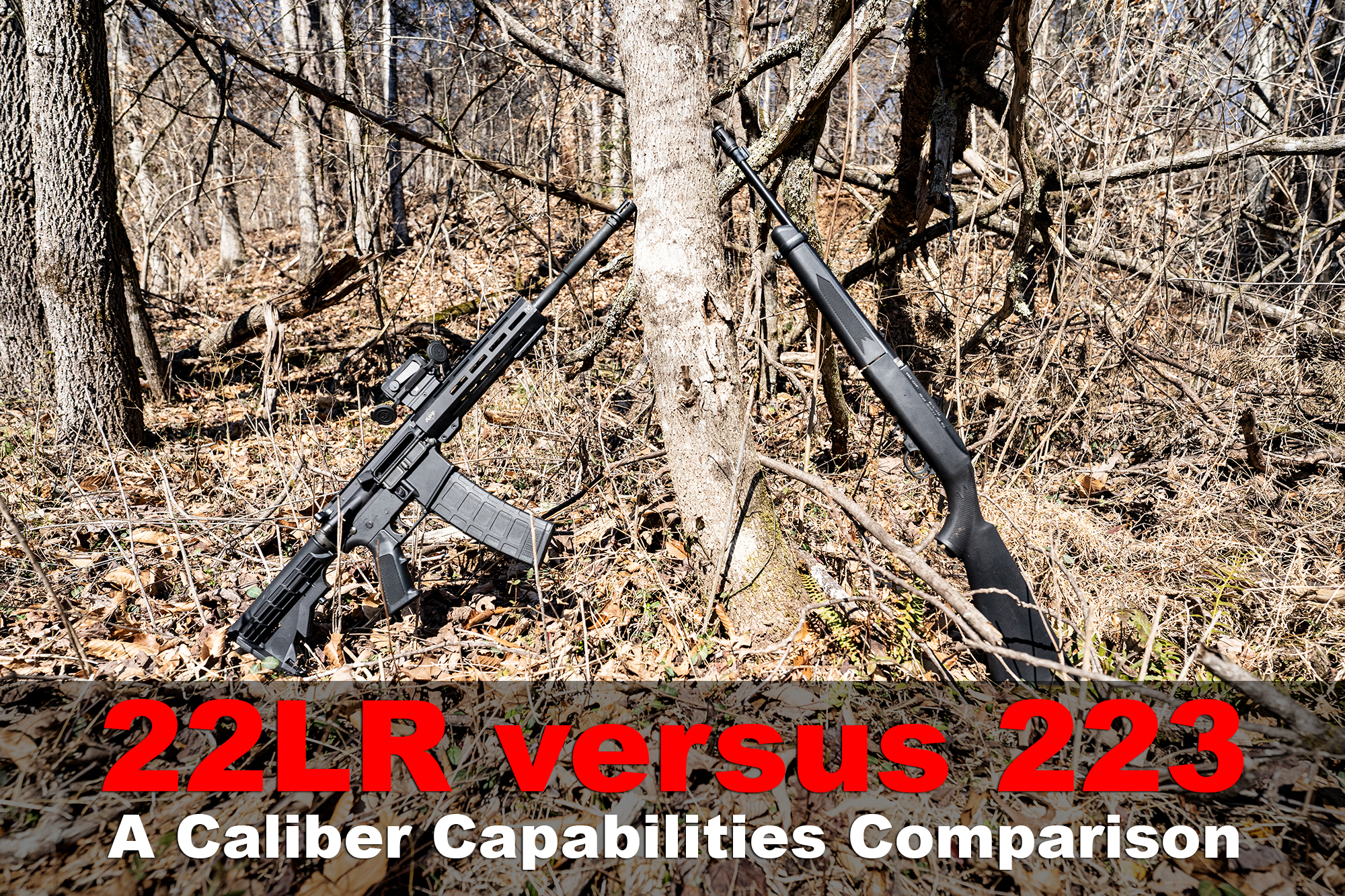 22LR vs 223 (5.56mm) what's the difference?