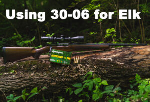 30-06 rifle with ammo in the woods