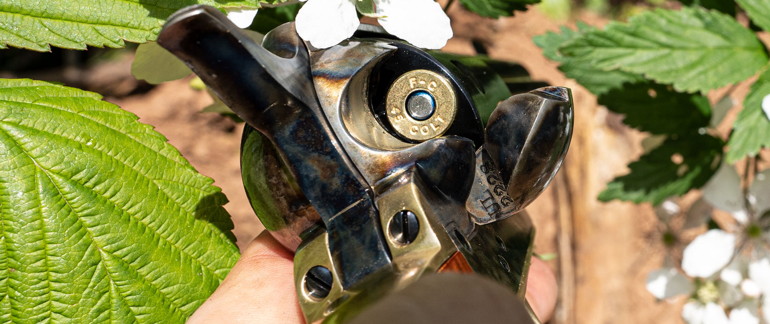 45 LC ammo loaded in a single shot revolver
