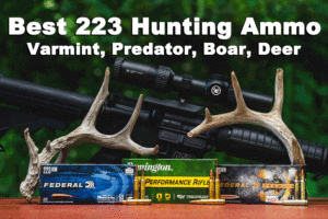 Best 223 hunting ammo with deer antlers and an ar-15 in the woods