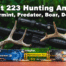 Best 223 hunting ammo with deer antlers and an ar-15 in the woods