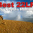Best 22lr ammo for coyotes