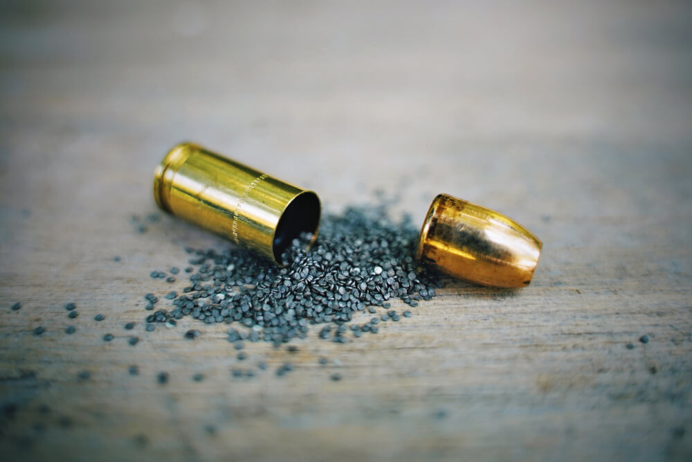 bullet velocity