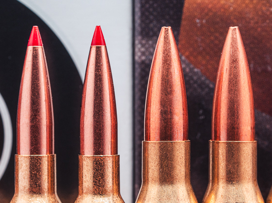 Close up of bullets