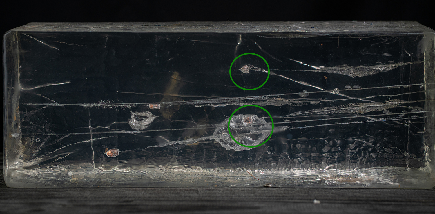 Testing to see if CCI mini mags are good for self-defense