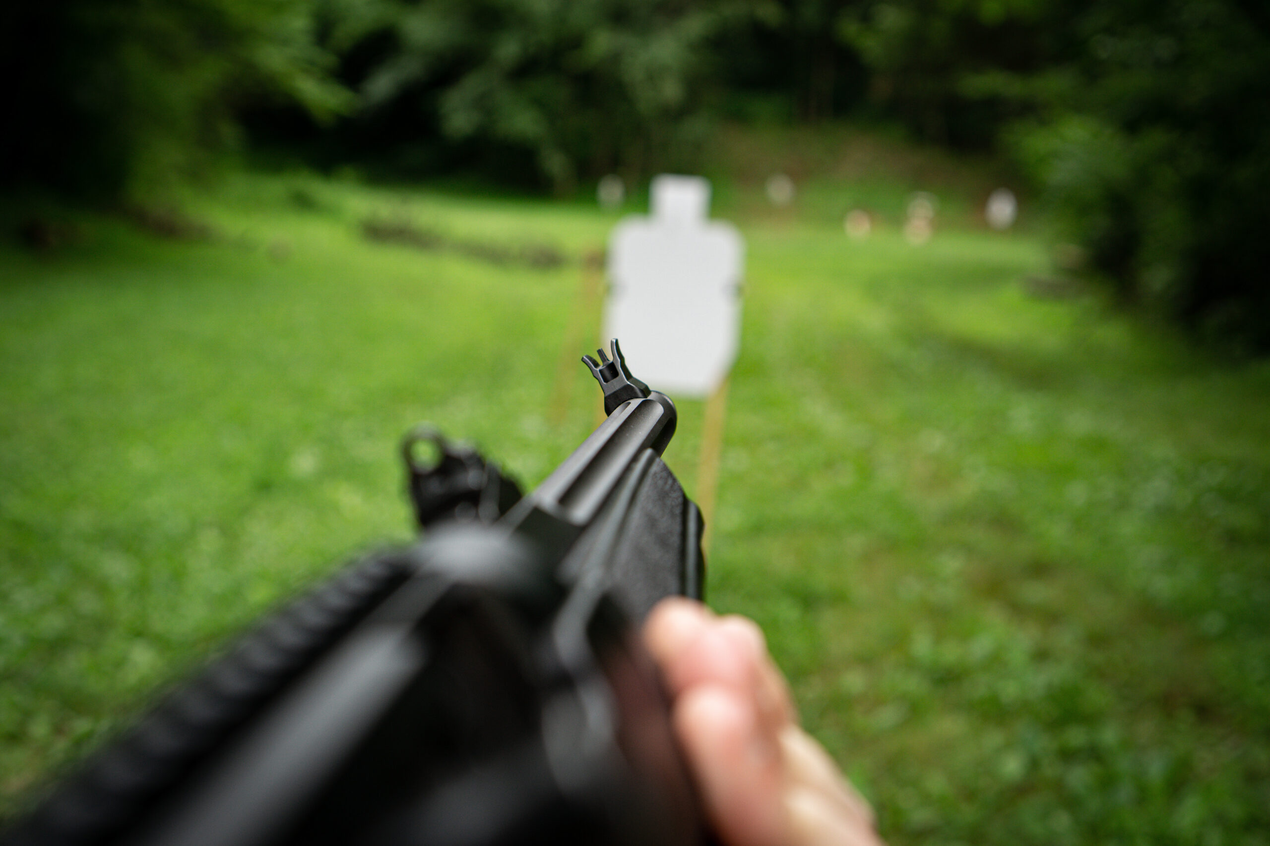 Ruger PC Carbine Sights