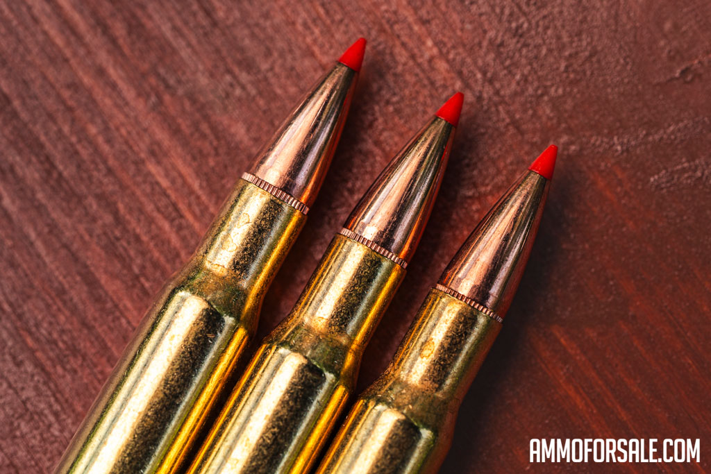30-06 ammo close up