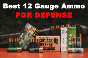 12 gauge ammo options and a shotgun on display