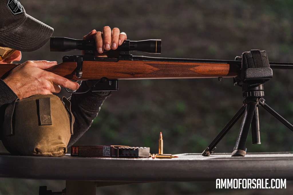 A rifleman firing 204 Ruger from a bench at a range