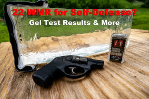 22 WMR for self defense