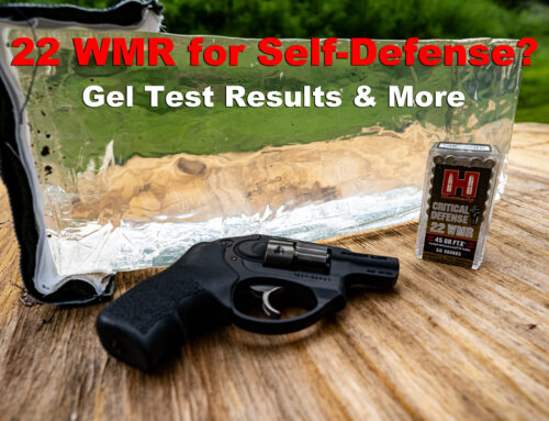Is 22 WMR A Good Choice for Self-Defense?