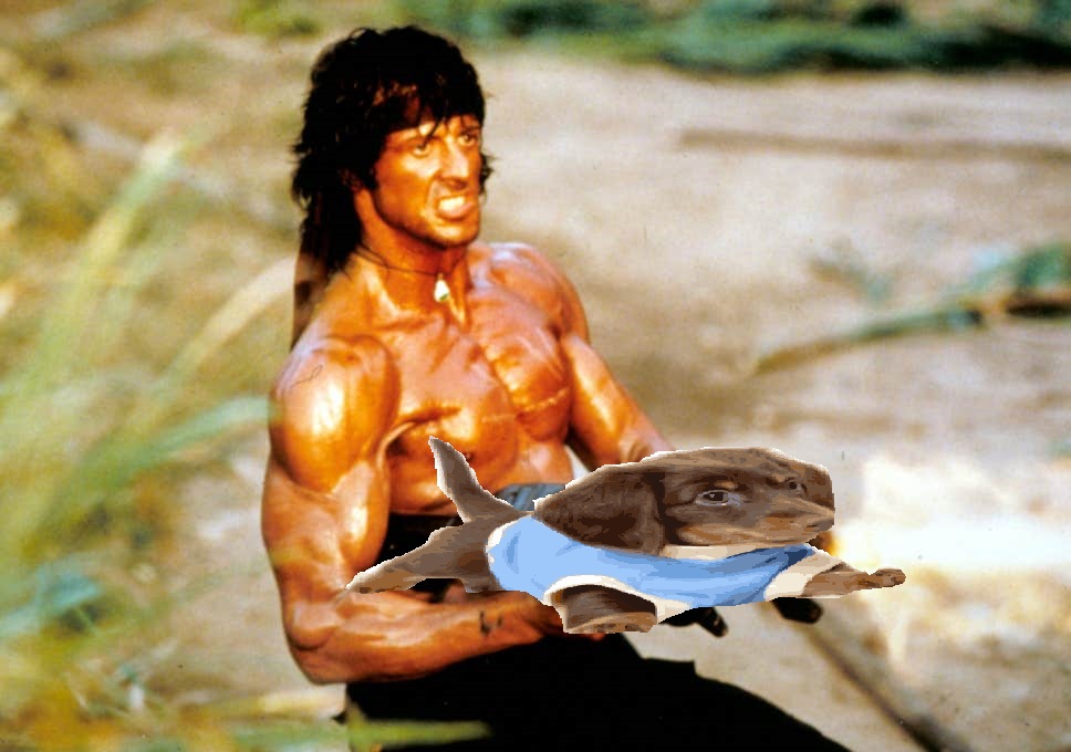 Rambo shooting a puppy gun Rambo with a puppy gun