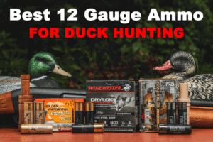 Best 12 gauge ammo for duck hunting displayed with decoys at the range
