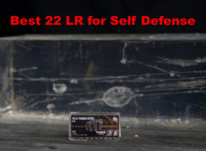 best 22 lr ammo for self-defense tested in gel