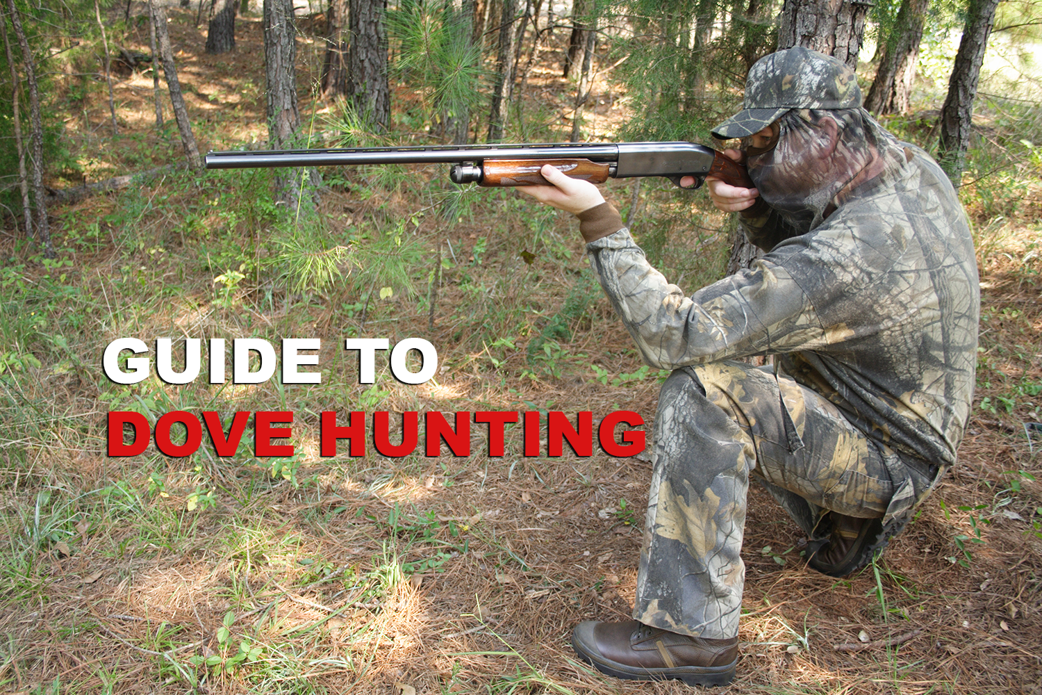 2022 Guide to Dove Hunting Essentials