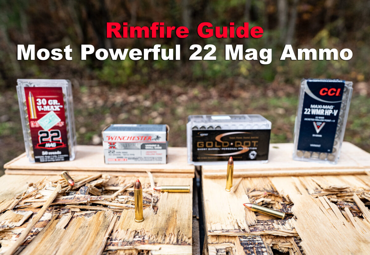 Most Powerful 22 Mag Ammo Best Bets for SelfDefense & Hunting