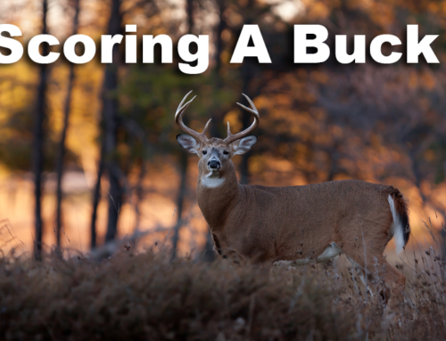 How to Score A Buck