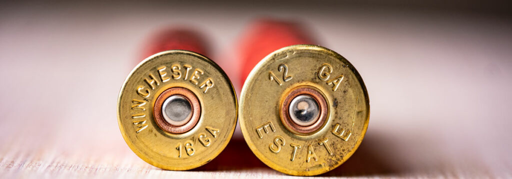 shotgun primer hit by firing pin