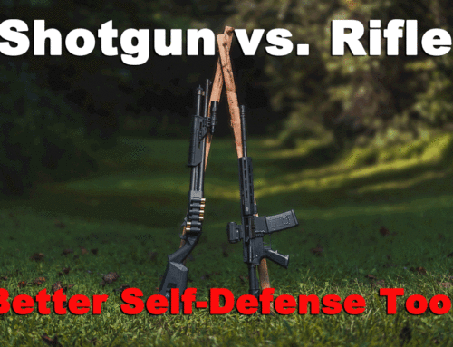 Shotgun vs. Rifle – What’s a Better Bet?